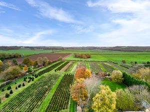 Photo 2- click for photo gallery